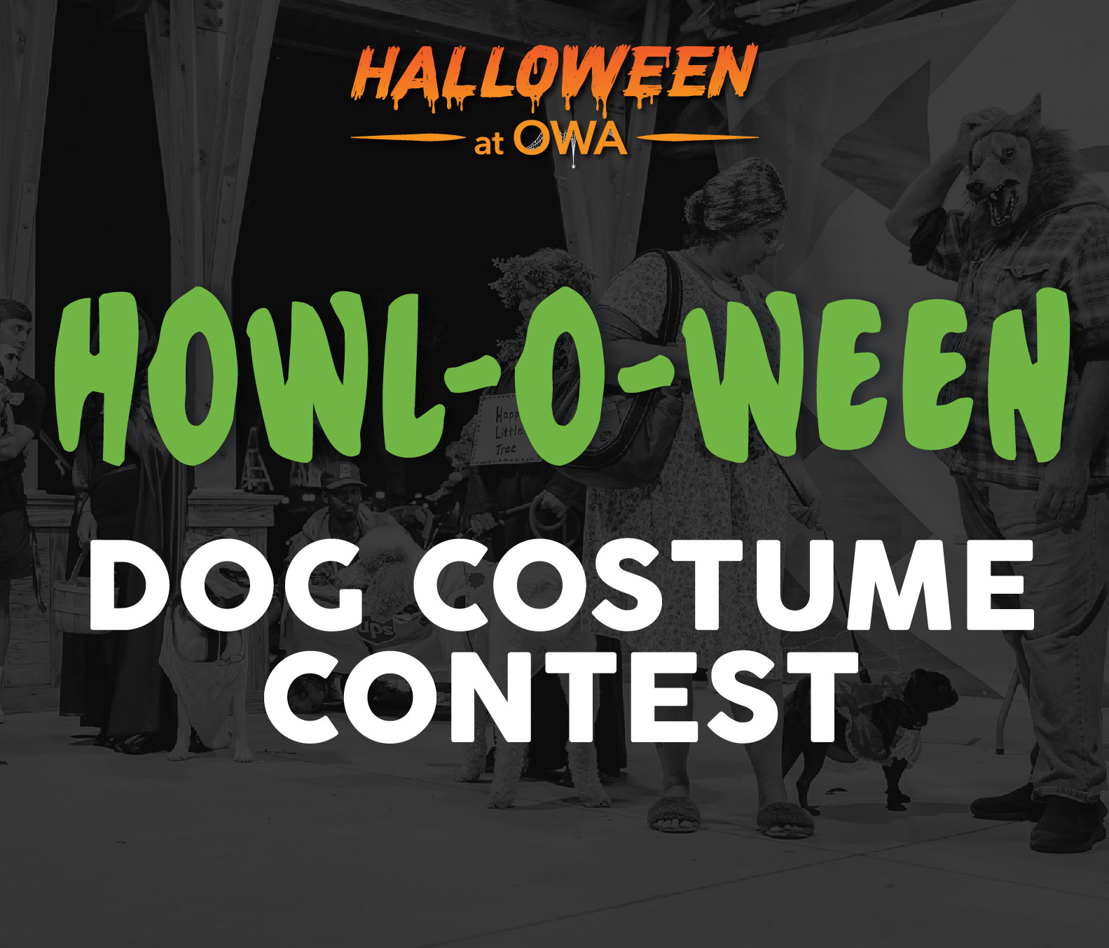 Howl-O-Ween – Thumbnail with Halloween at OWA_Featured Image (Card)