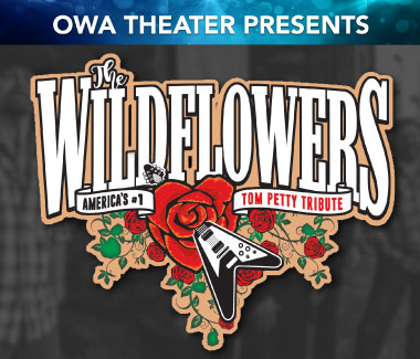 Thumbnail-Wildflowers-Tom-Petty