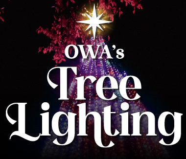 Thumbnail – Tree Lighting